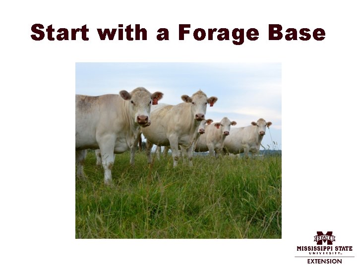 Start with a Forage Base 