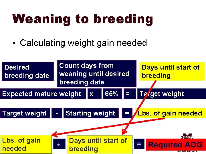 Weaning to breeding • Calculating weight gain needed Count days from weaning until desired