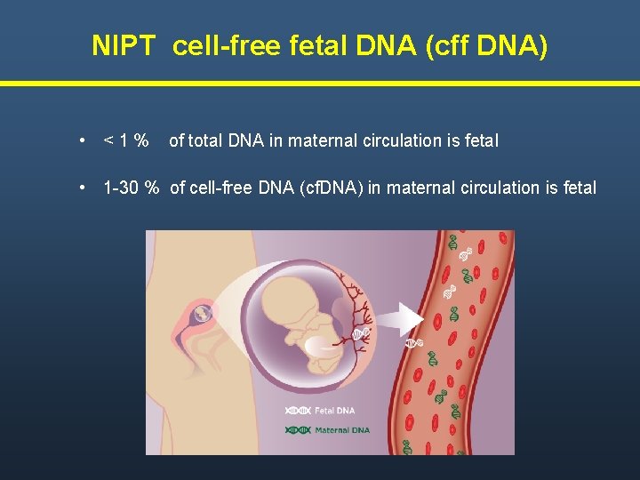 NIPT cell-free fetal DNA (cff DNA) • <1% of total DNA in maternal circulation