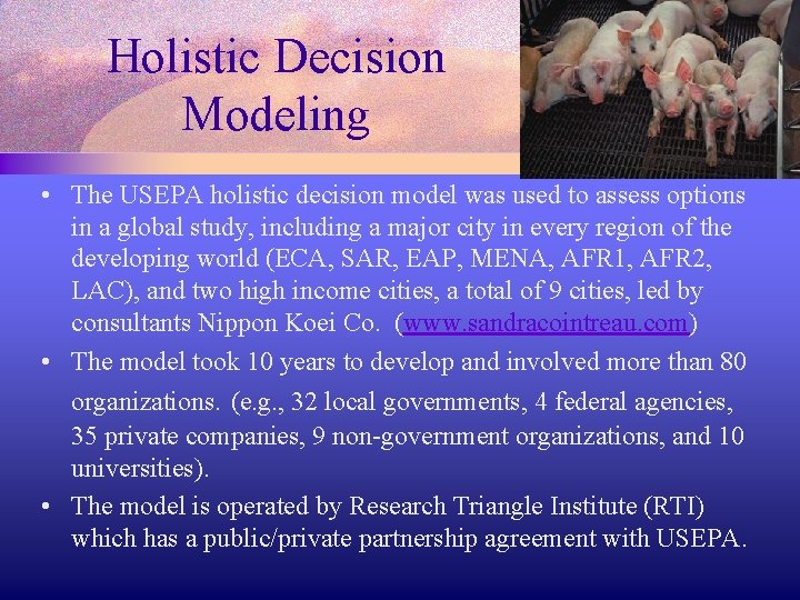 Holistic Decision Modeling • The USEPA holistic decision model was used to assess options