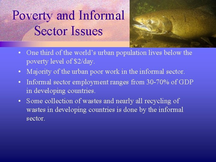 Poverty and Informal Sector Issues • One third of the world’s urban population lives