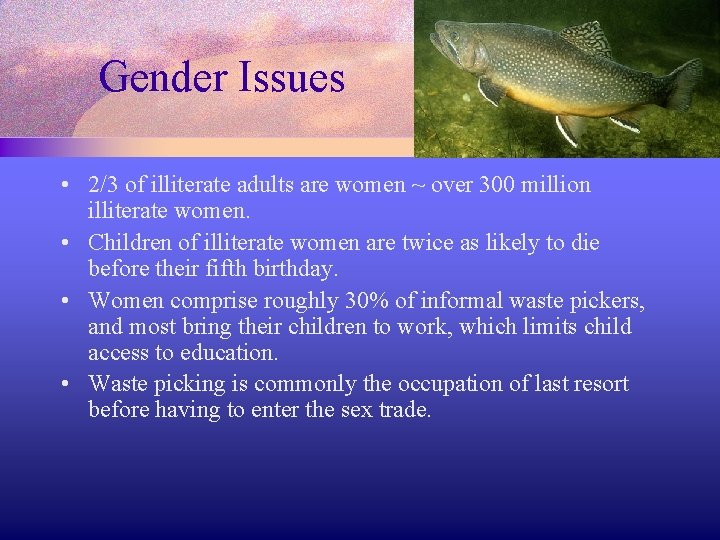 Gender Issues • 2/3 of illiterate adults are women ~ over 300 million illiterate