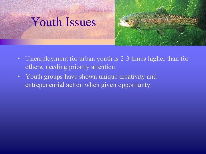 Youth Issues • Unemployment for urban youth is 2 -3 times higher than for