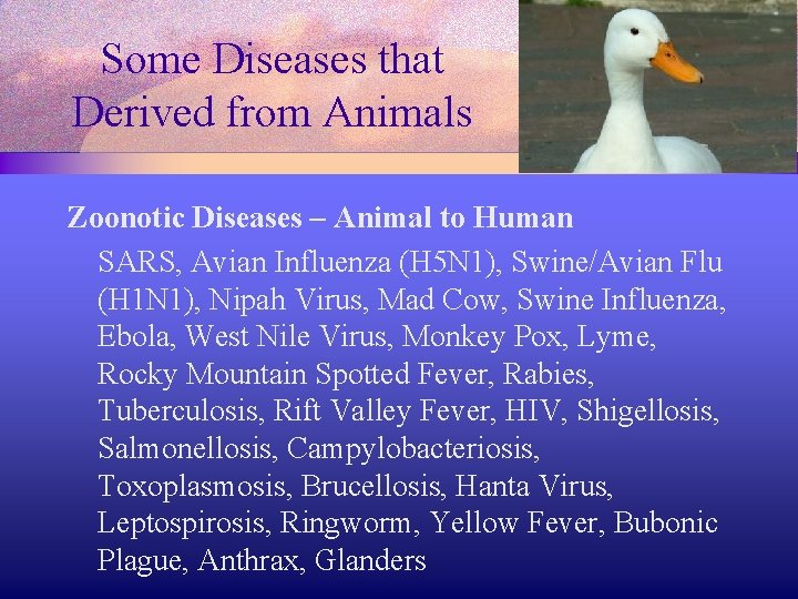 Some Diseases that Derived from Animals Zoonotic Diseases – Animal to Human SARS, Avian