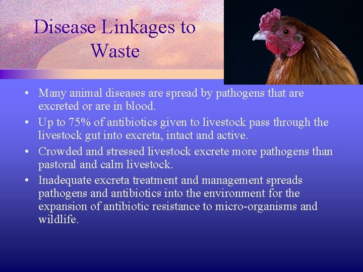 Disease Linkages to Waste • Many animal diseases are spread by pathogens that are