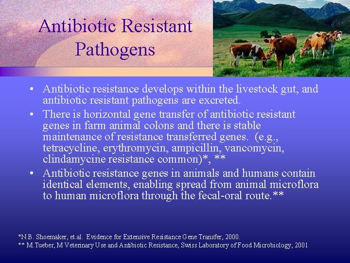Antibiotic Resistant Pathogens • Antibiotic resistance develops within the livestock gut, and antibiotic resistant