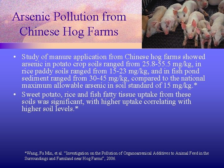Arsenic Pollution from Chinese Hog Farms • Study of manure application from Chinese hog