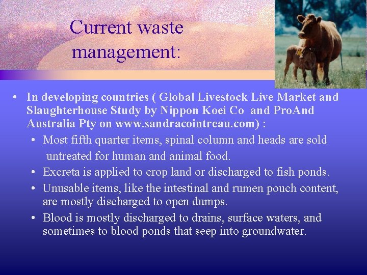 Current waste management: • In developing countries ( Global Livestock Live Market and Slaughterhouse