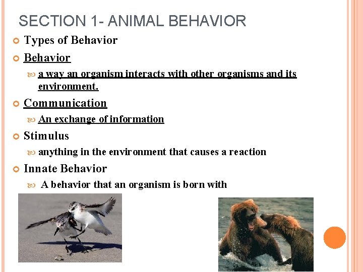 SECTION 1 - ANIMAL BEHAVIOR Types of Behavior a way an organism interacts with