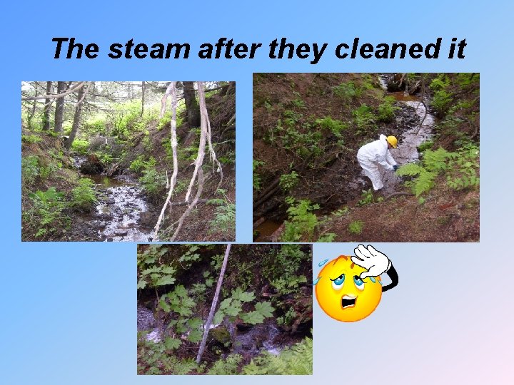 The steam after they cleaned it 