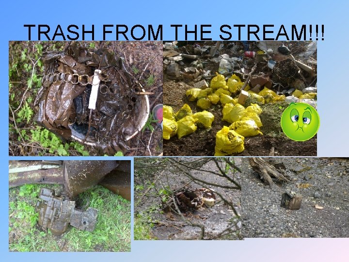 TRASH FROM THE STREAM!!! 