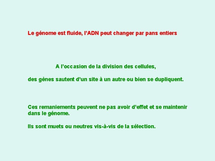 Le génome est fluide, l’ADN peut changer pans entiers A l’occasion de la division