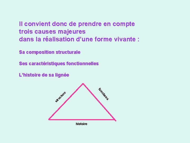 Il convient donc de prendre en compte trois causes majeures dans la réalisation d’une