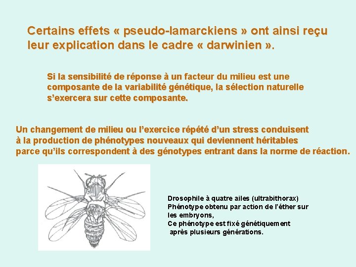 Certains effets « pseudo-lamarckiens » ont ainsi reçu leur explication dans le cadre «