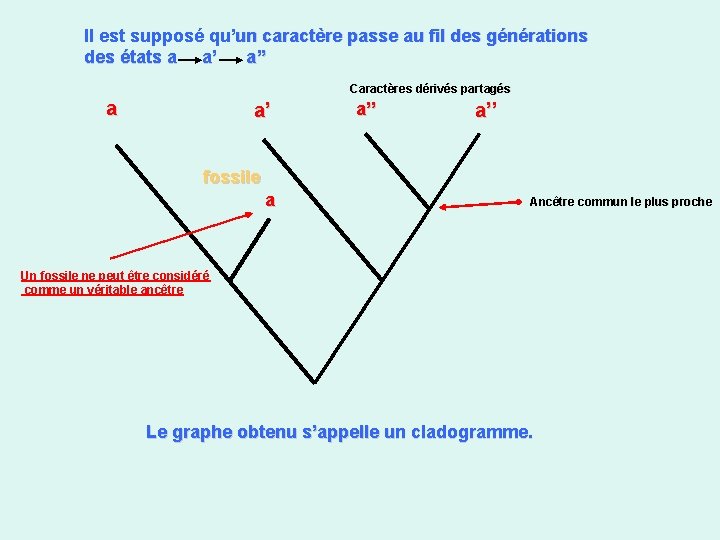 Il est supposé qu’un caractère passe au fil des générations des états a a’