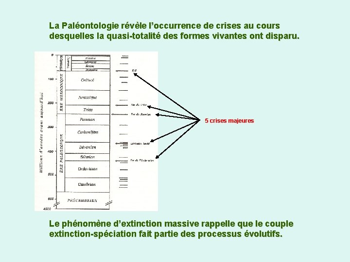 La Paléontologie révèle l’occurrence de crises au cours desquelles la quasi-totalité des formes vivantes