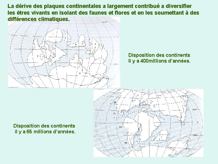 La dérive des plaques continentales a largement contribué a diversifier les êtres vivants en