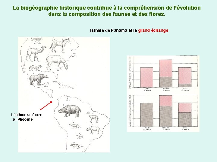 La biogéographie historique contribue à la compréhension de l’évolution dans la composition des faunes
