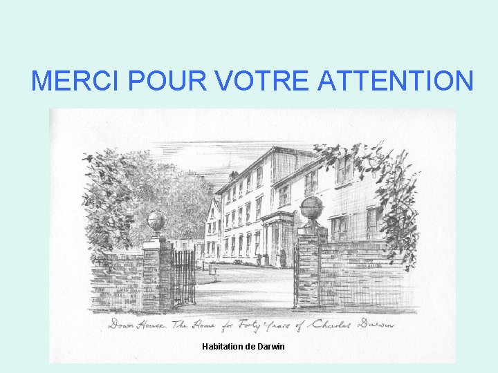 MERCI POUR VOTRE ATTENTION Habitation de Darwin 