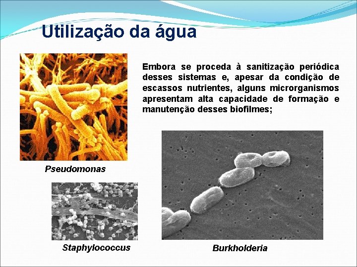 Utilização da água Embora se proceda à sanitização periódica desses sistemas e, apesar da