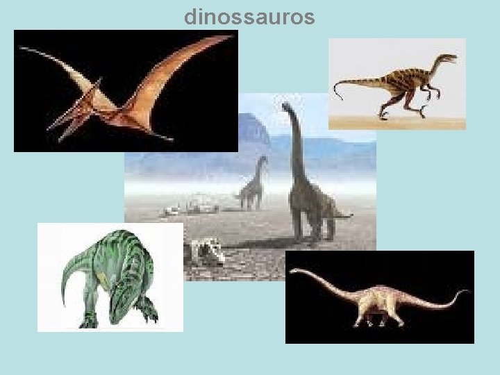 dinossauros 