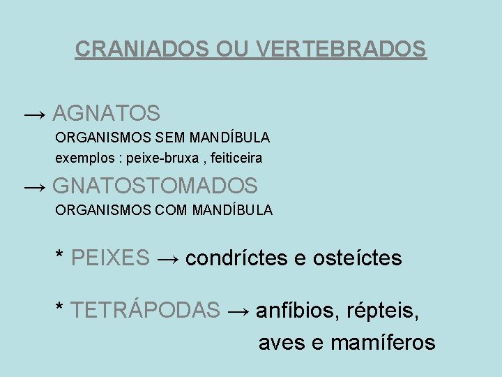 CRANIADOS OU VERTEBRADOS → AGNATOS ORGANISMOS SEM MANDÍBULA exemplos : peixe-bruxa , feiticeira →