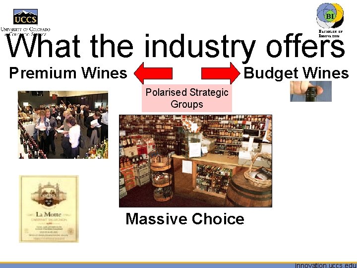 What the industry offers BACHELOR OF INNOVATION™ Premium Wines Budget Wines Polarised Strategic Groups
