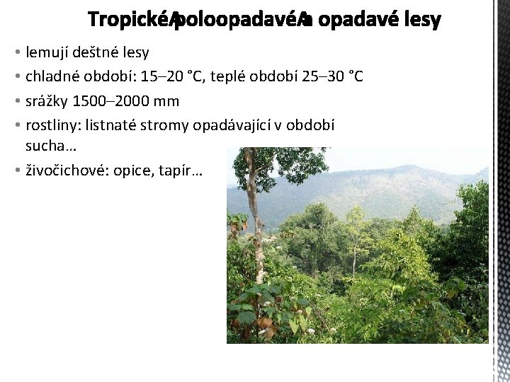  • lemují deštné lesy • chladné období: 15– 20 °C, teplé období 25–