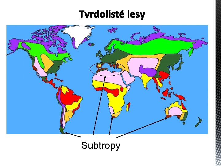 Subtropy 