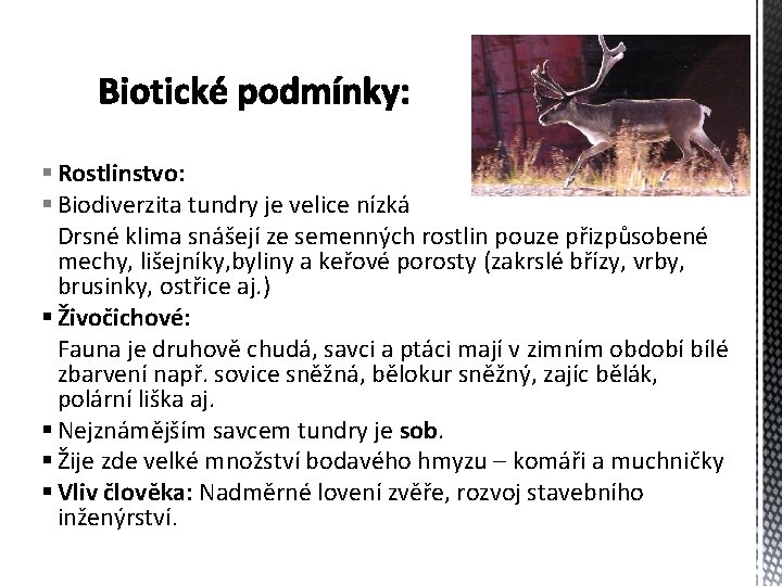 § Rostlinstvo: § Biodiverzita tundry je velice nízká Drsné klima snášejí ze semenných rostlin