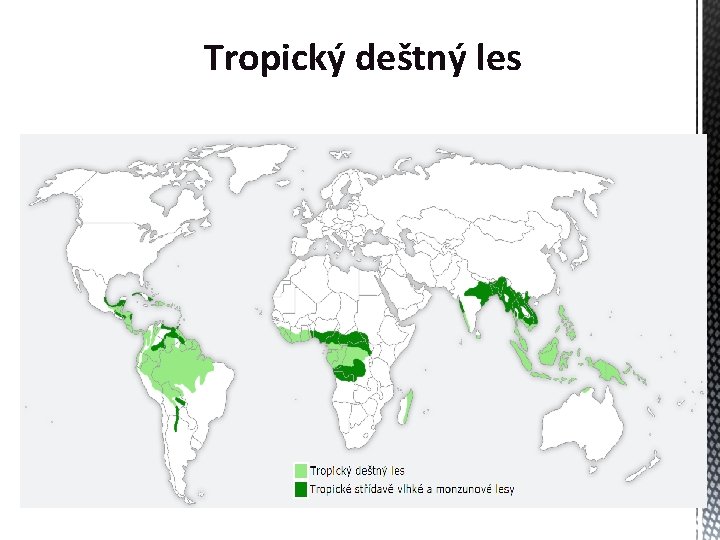 Tropický deštný les 