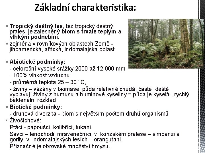 § Tropický deštný les, též tropický deštný prales, je zalesněný biom s trvale teplým