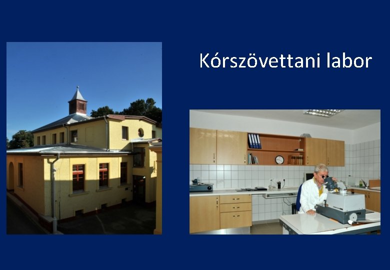 Kórszövettani labor 