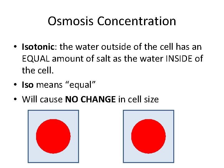Osmosis Concentration • Isotonic: the water outside of the cell has an EQUAL amount