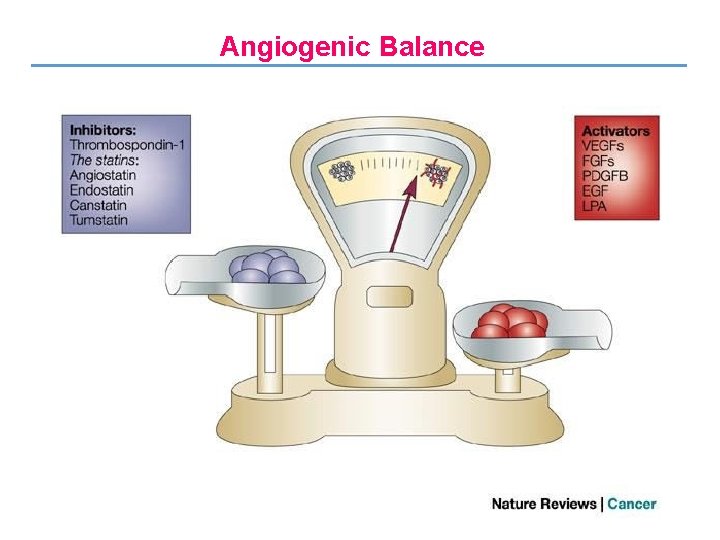 Angiogenic Balance 