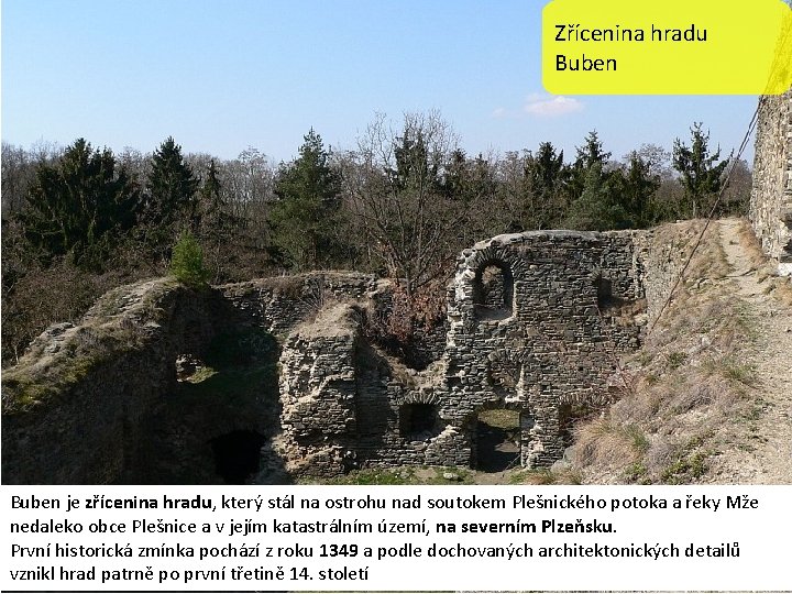 Zřícenina hradu Buben je zřícenina hradu, který stál na ostrohu nad soutokem Plešnického potoka