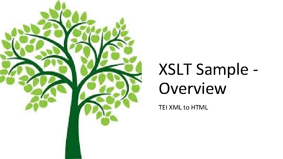 XSLT Sample Overview TEI XML to HTML 