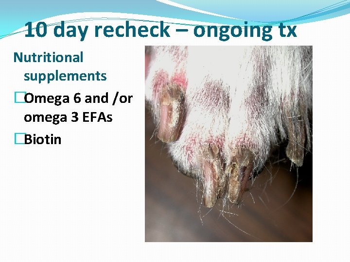 10 day recheck – ongoing tx Nutritional supplements �Omega 6 and /or omega 3