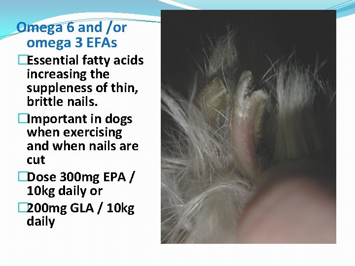 Omega 6 and /or omega 3 EFAs �Essential fatty acids increasing the suppleness of