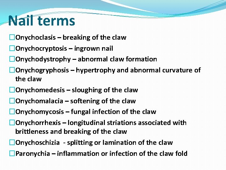 Nail terms �Onychoclasis – breaking of the claw �Onychocryptosis – ingrown nail �Onychodystrophy –