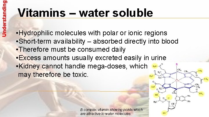 Understanding Vitamins – water soluble • Hydrophilic molecules with polar or ionic regions •