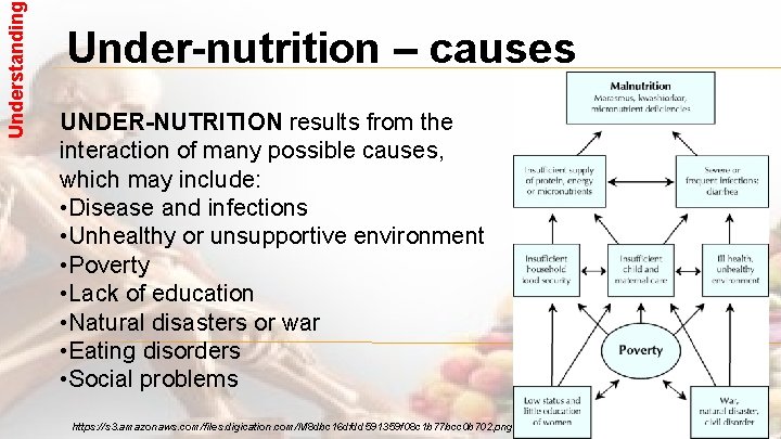 Understanding Under-nutrition – causes UNDER-NUTRITION results from the interaction of many possible causes, which