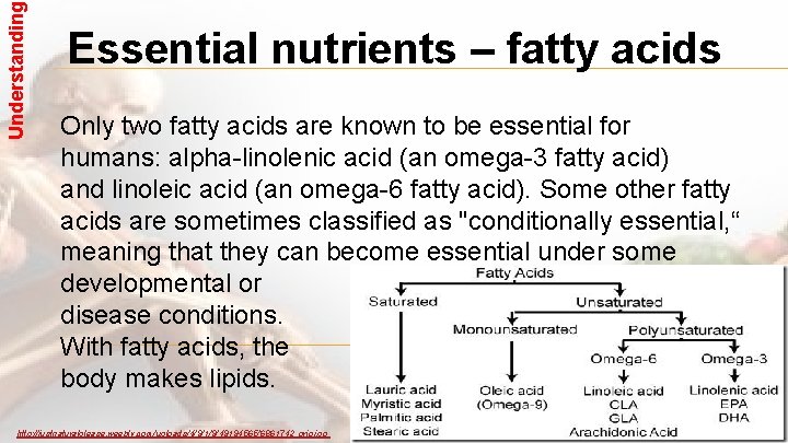 Understanding Essential nutrients – fatty acids Only two fatty acids are known to be