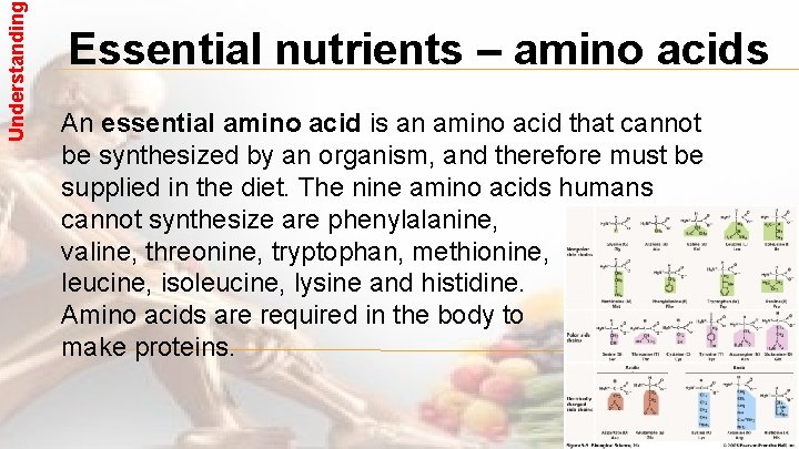 Understanding Essential nutrients – amino acids An essential amino acid is an amino acid