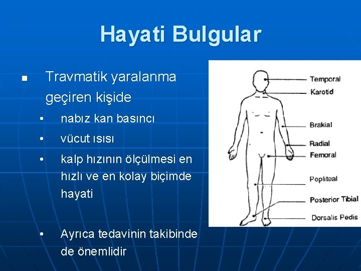 Hayati Bulgular Travmatik yaralanma geçiren kişide n • nabız kan basıncı • vücut ısısı