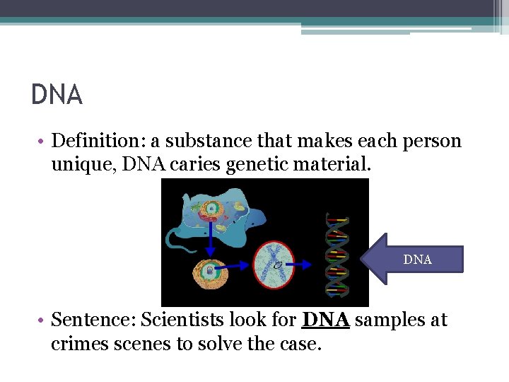 DNA • Definition: a substance that makes each person unique, DNA caries genetic material. DNA • Definition: a substance that makes each person unique, DNA caries genetic material.