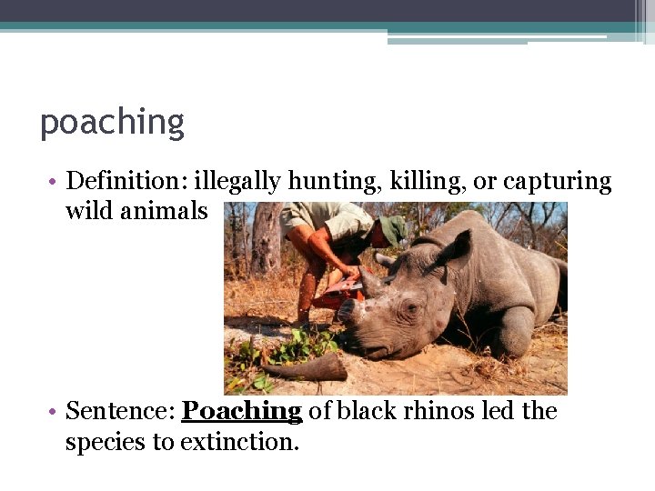 poaching • Definition: illegally hunting, killing, or capturing wild animals • Sentence: Poaching of