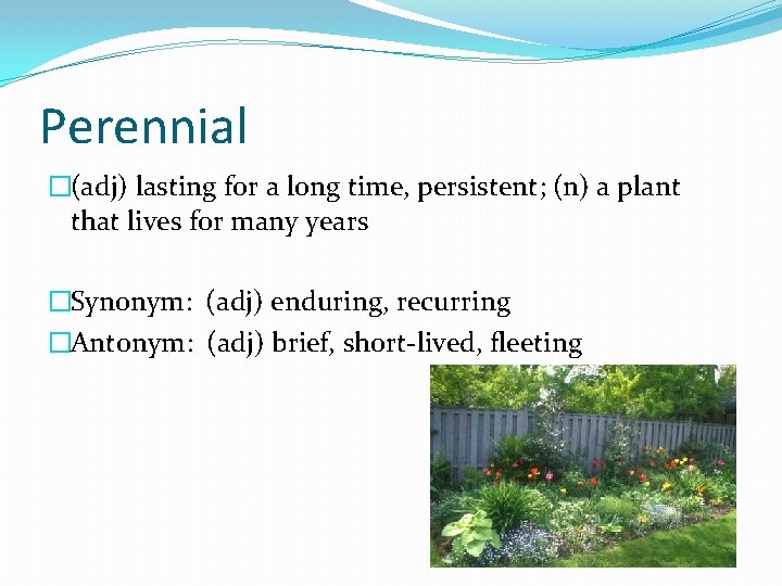 Perennial �(adj) lasting for a long time, persistent; (n) a plant that lives for