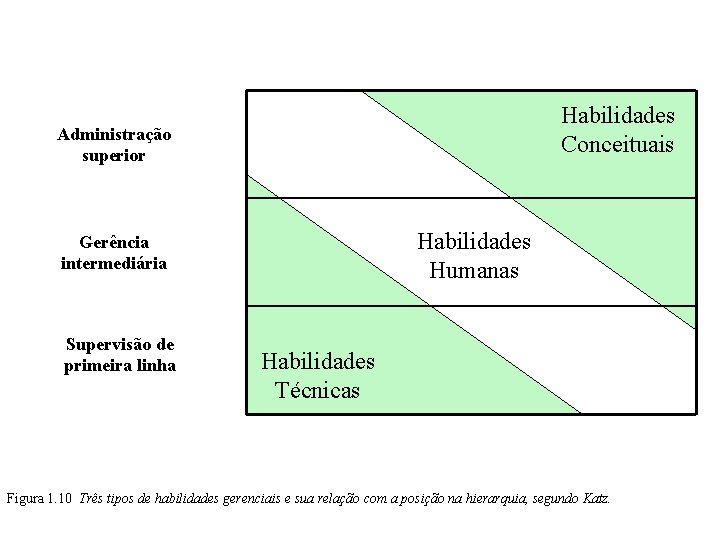 Habilidades Conceituais Administração superior Habilidades Humanas Gerência intermediária Supervisão de primeira linha Habilidades Técnicas