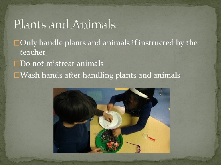 Plants and Animals �Only handle plants and animals if instructed by the teacher �Do